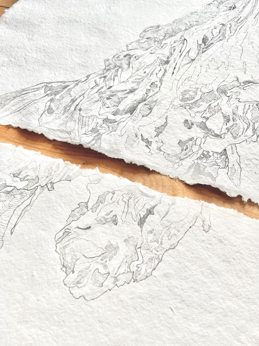 Detail photo of a progress shot featuring a collage of natural forms.