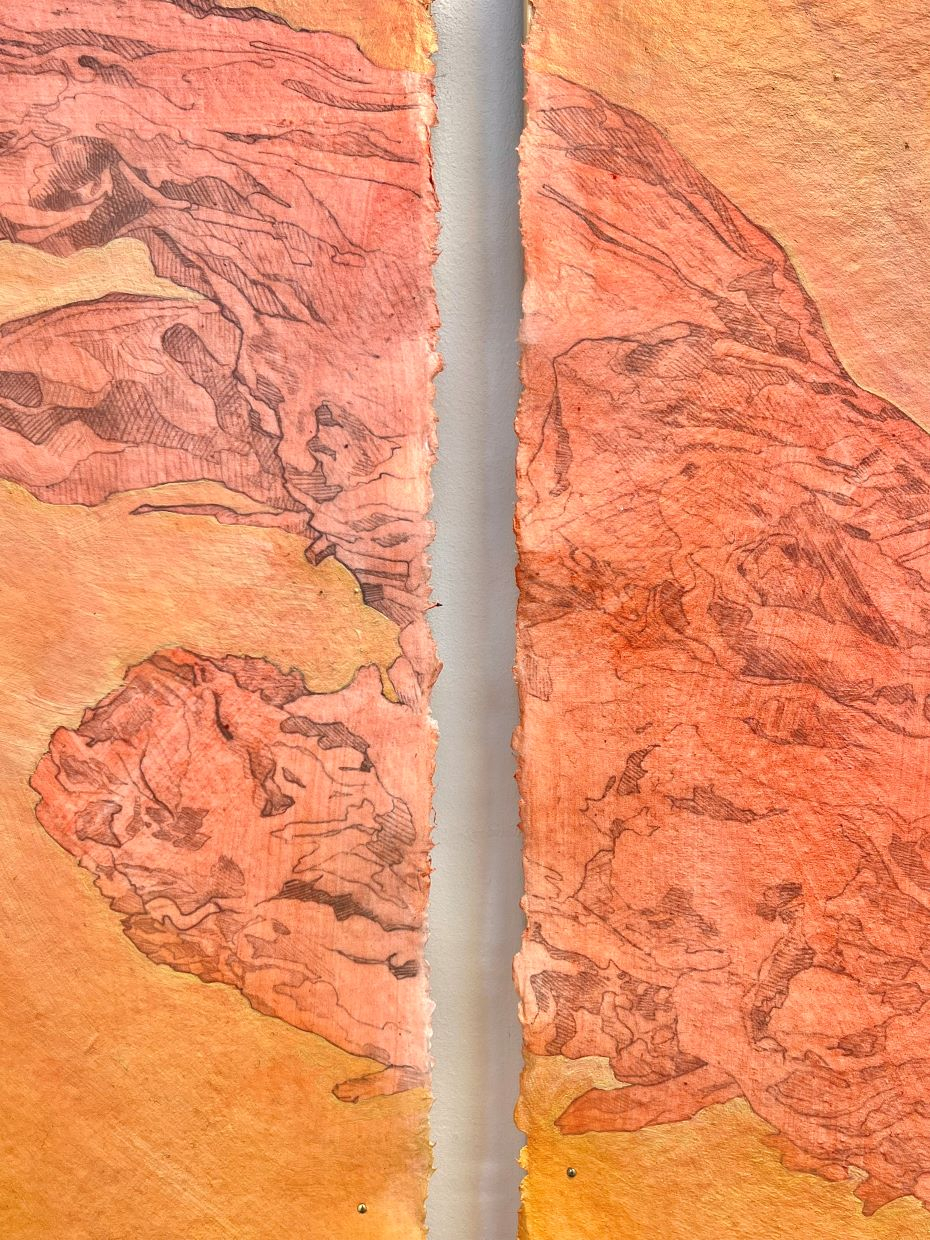 Detail photo of a painting featuring a collage of natural forms.