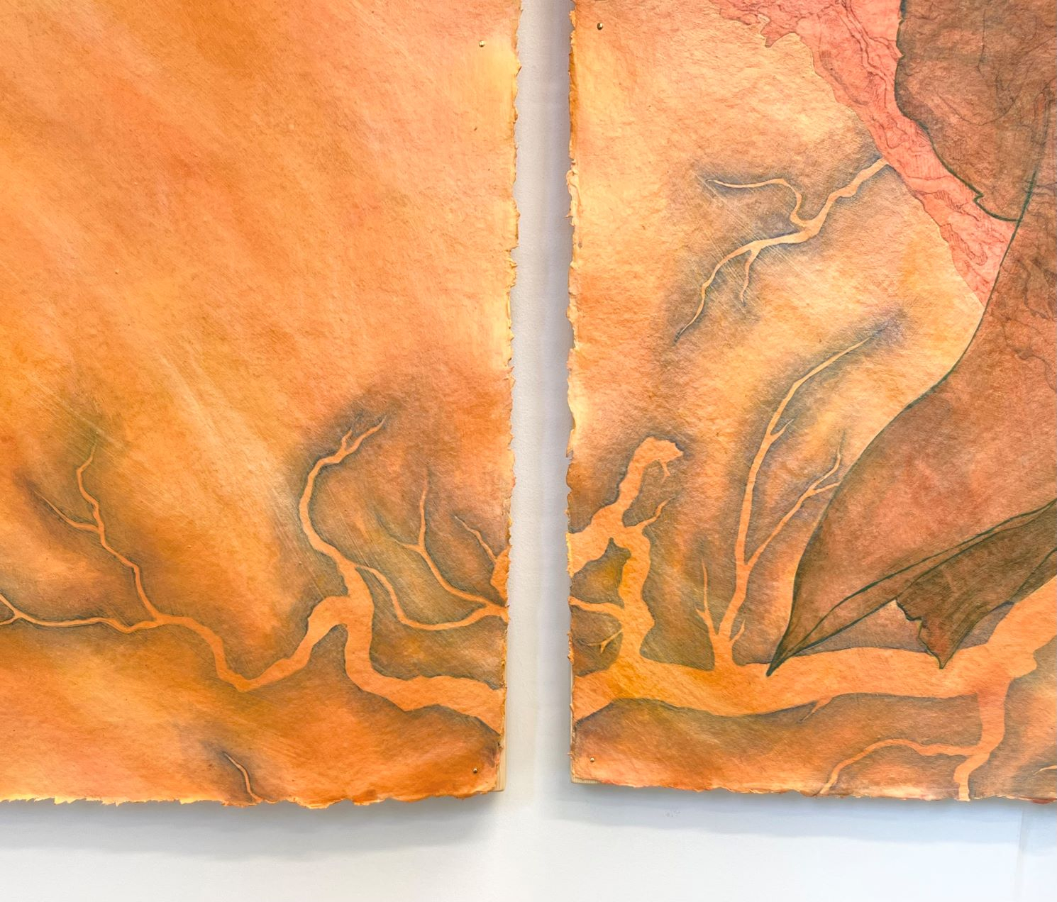 Detail photo of a painting featuring a collage of natural forms.