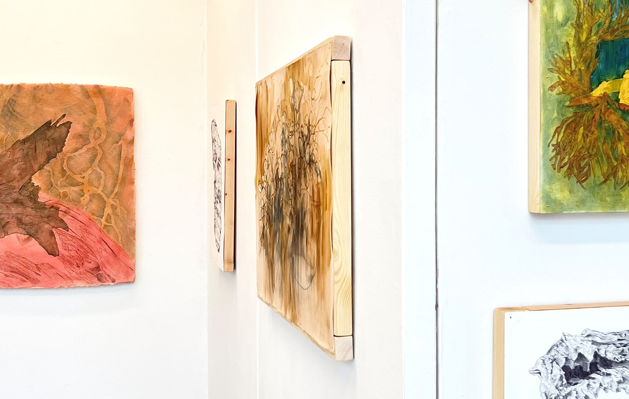 Paintings hanging in a gallery space