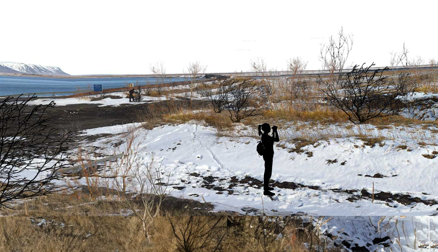 Flóahreppur in the winter throughout planting implementation