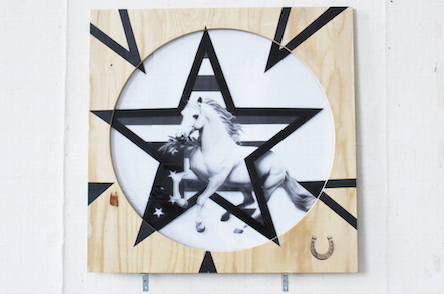 image of horse holding olive branch in mouth 