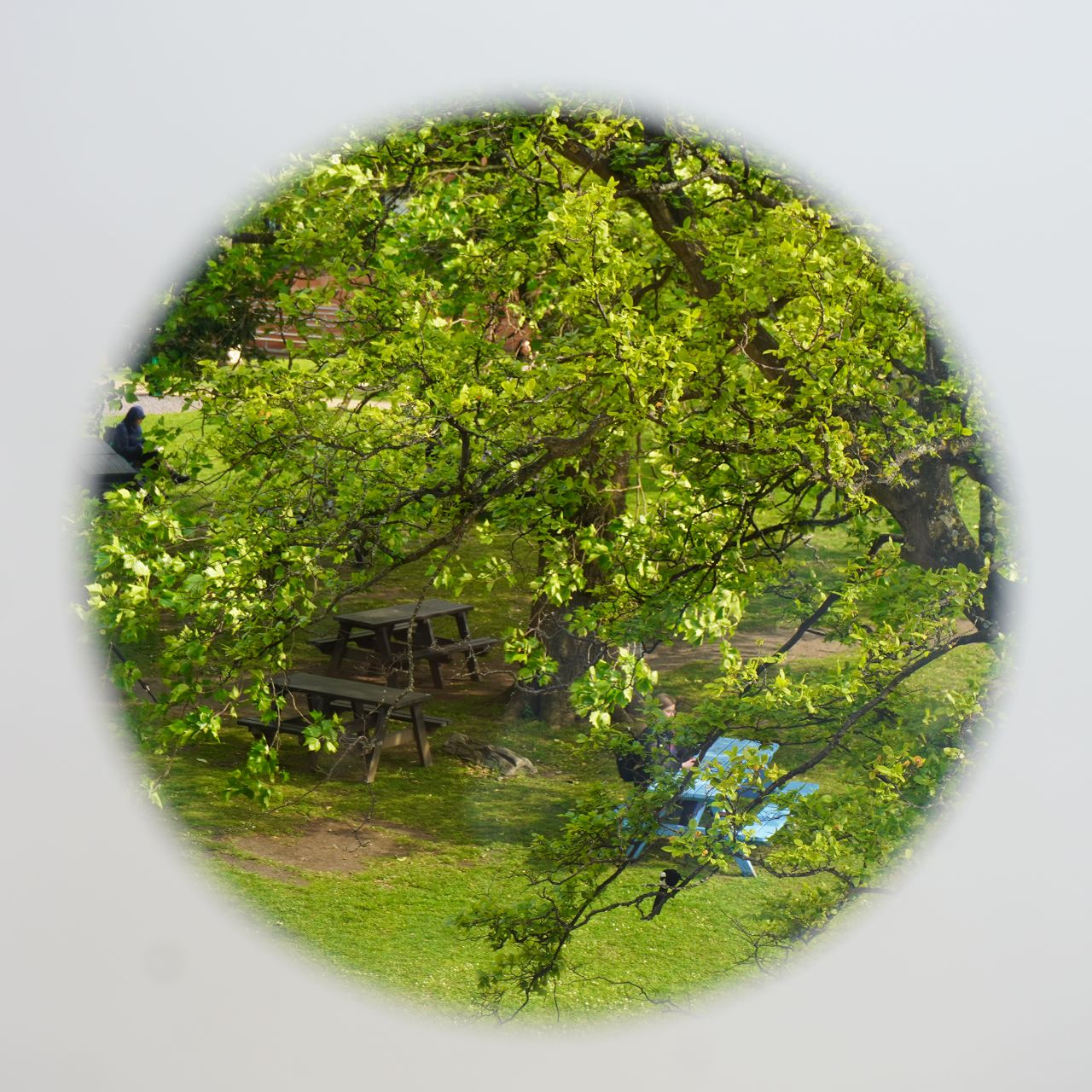 Close-up installation view of '... (dot dot dot)', 2025. View from the left hole. 