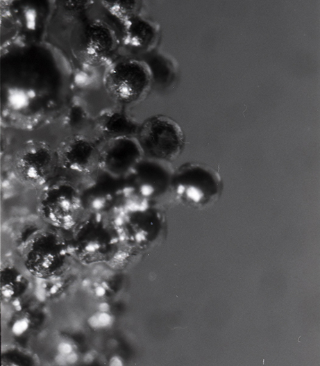 A close up of the granulation texture which consists if small spheres on the surface of the metal.