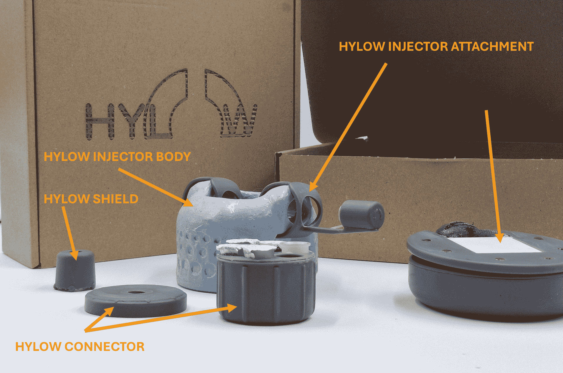 Labelled Image of the Collection
