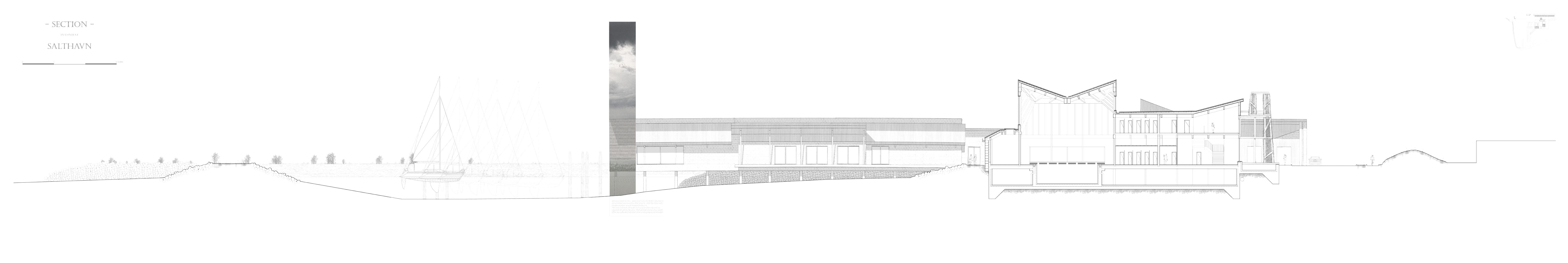 A long section illustrating the harbour context of the architecture.