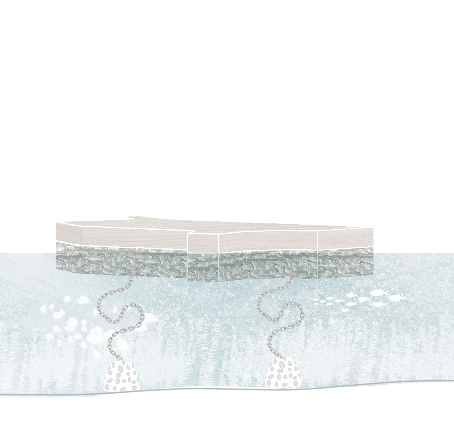 Oyster Island at Middle Tide