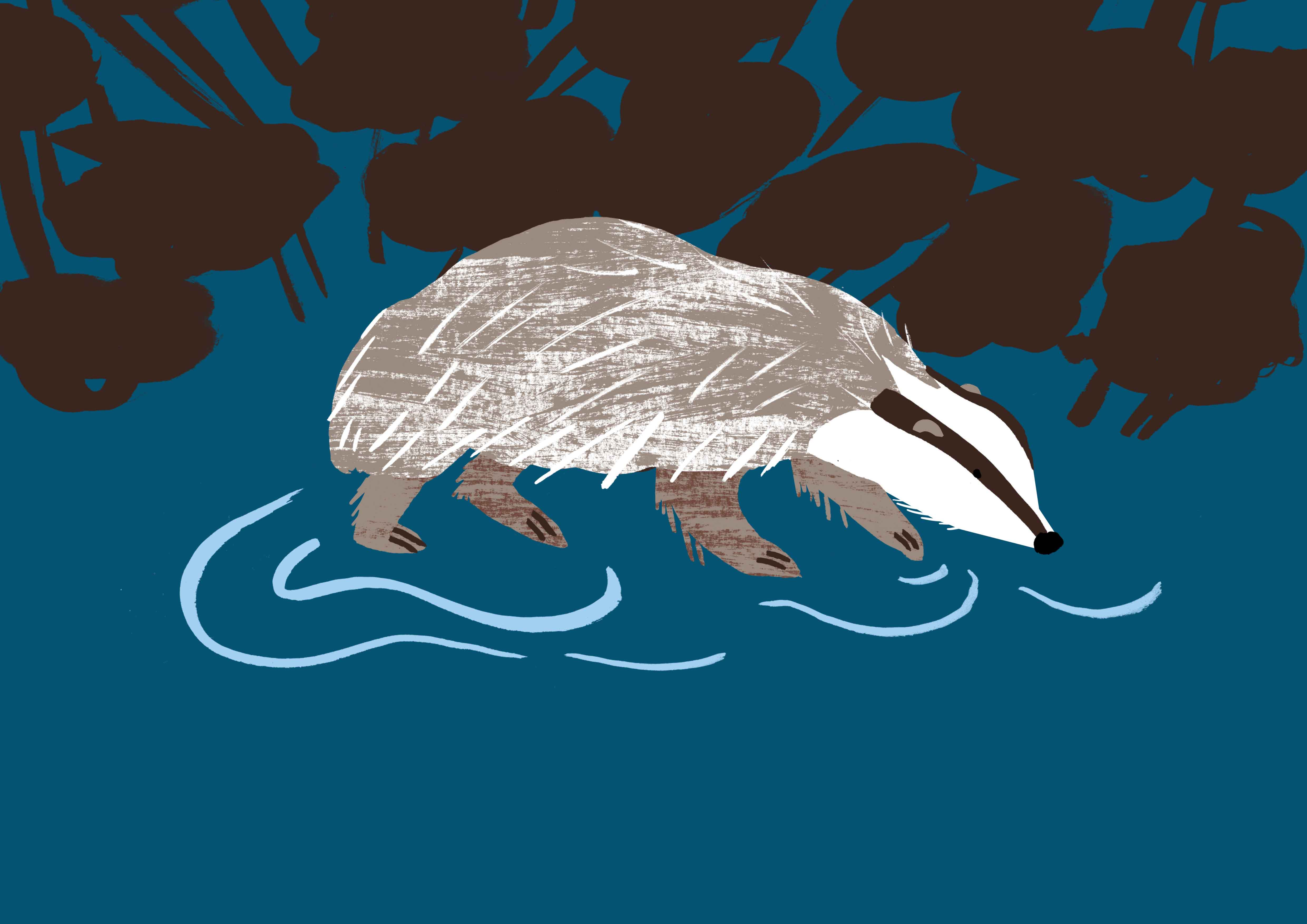 Badger