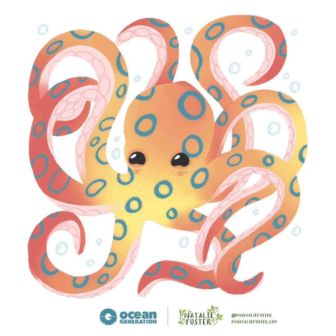 An illustration of a blue-ringed octopus