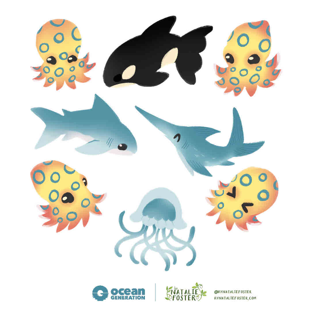 Small illustrations of a shark, swordfish, orca, jellyfish and octopus