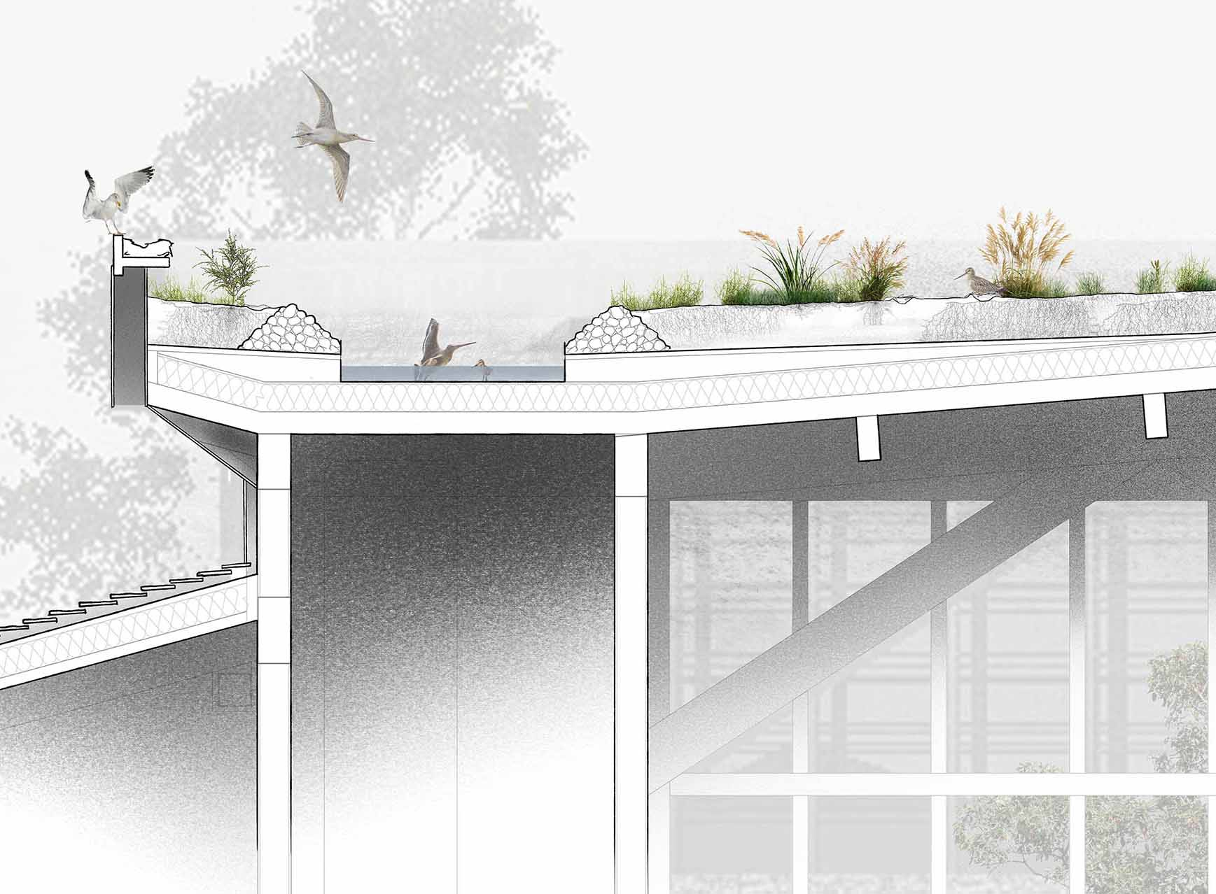 The Second Landscape - Roof Section