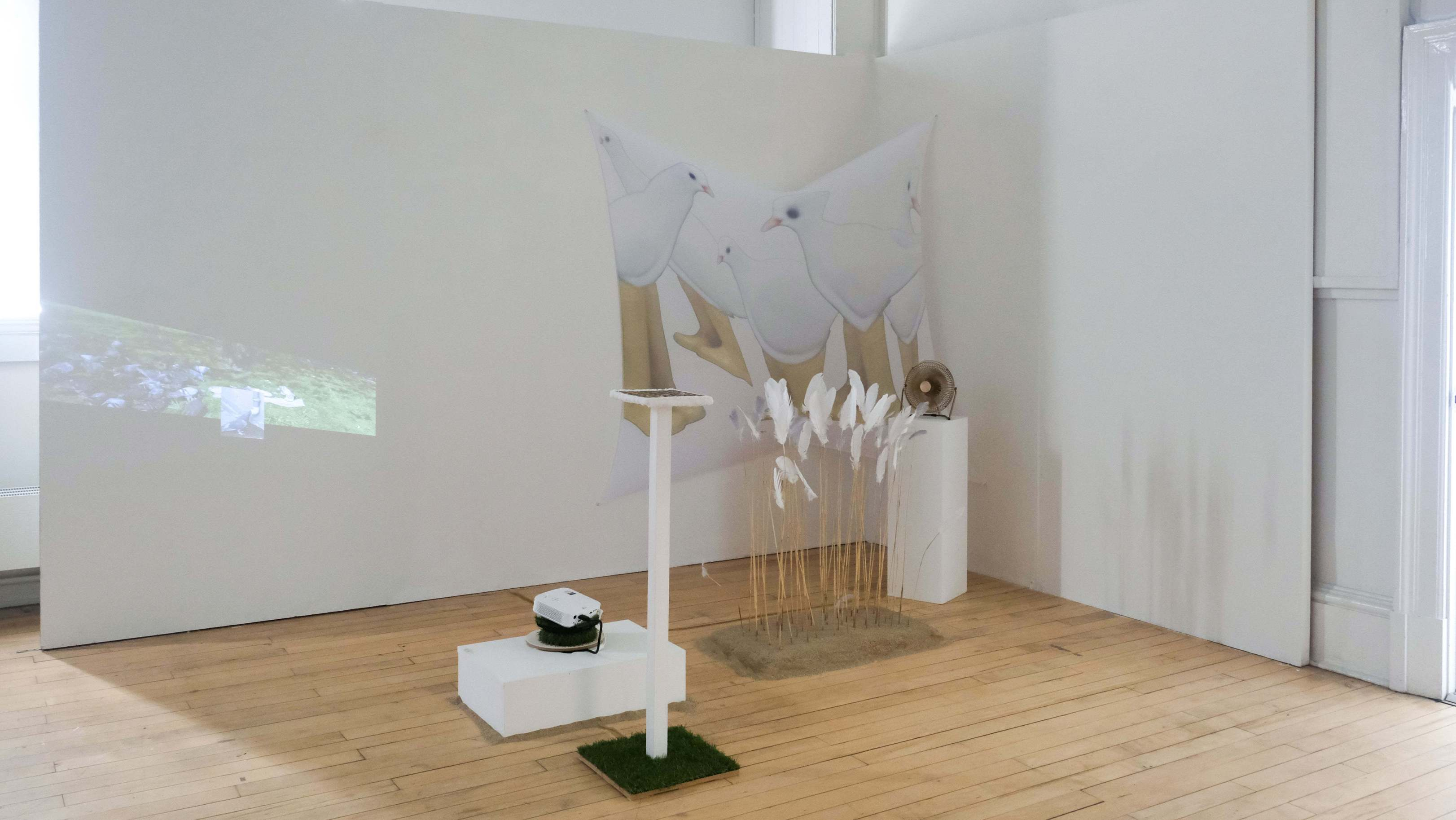 Macey Zhao, Gone with the wind…  Mesh, electric fan, feathers, straw, artificial grass, sand. Projector and Arduino.