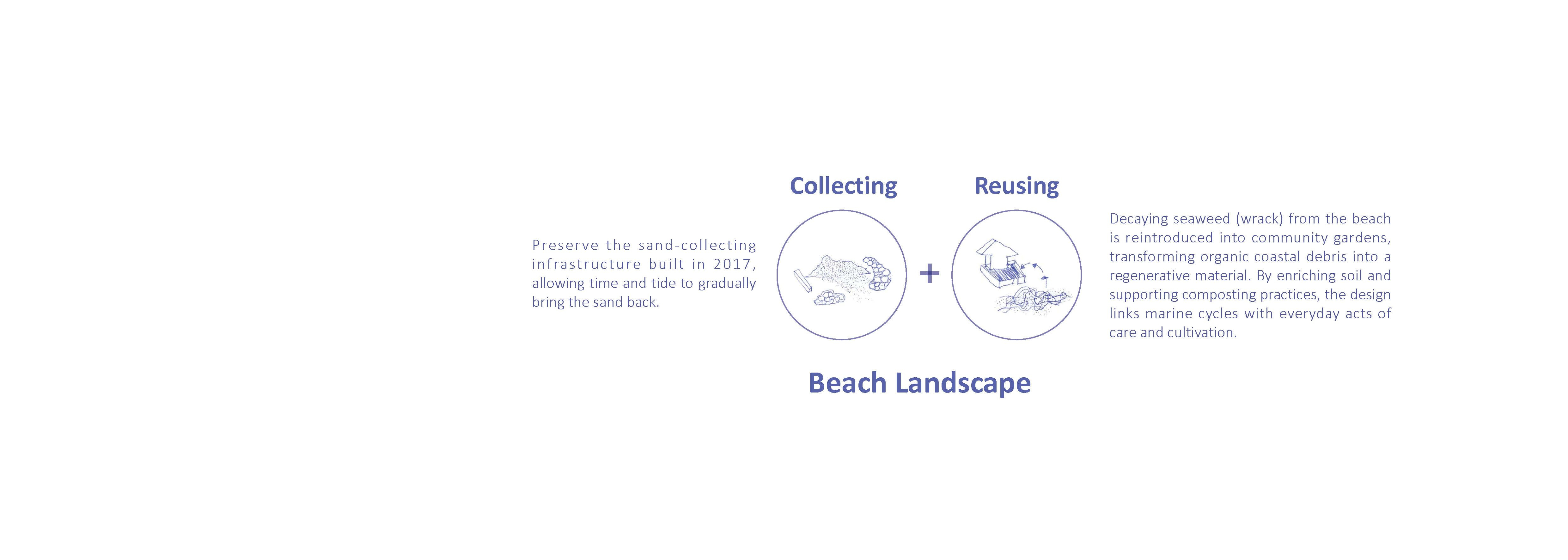 Beach Landscape--Collecting+Reusing