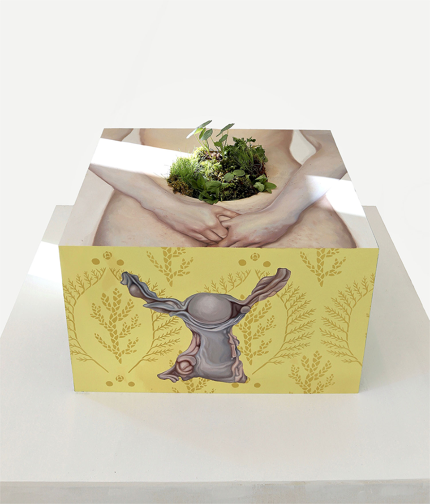 A box-like artwork with living plants inside it, its frontside yellow, and a human torso painted on top.