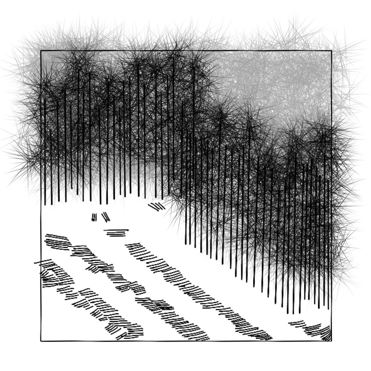 Illustration of a logged commercial forest, showing dense trees and a cleared area with uniform stumps, highlighting ecological fragmentation.
